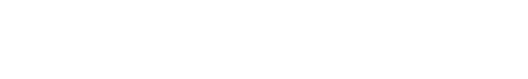 dude wipes logo lockup