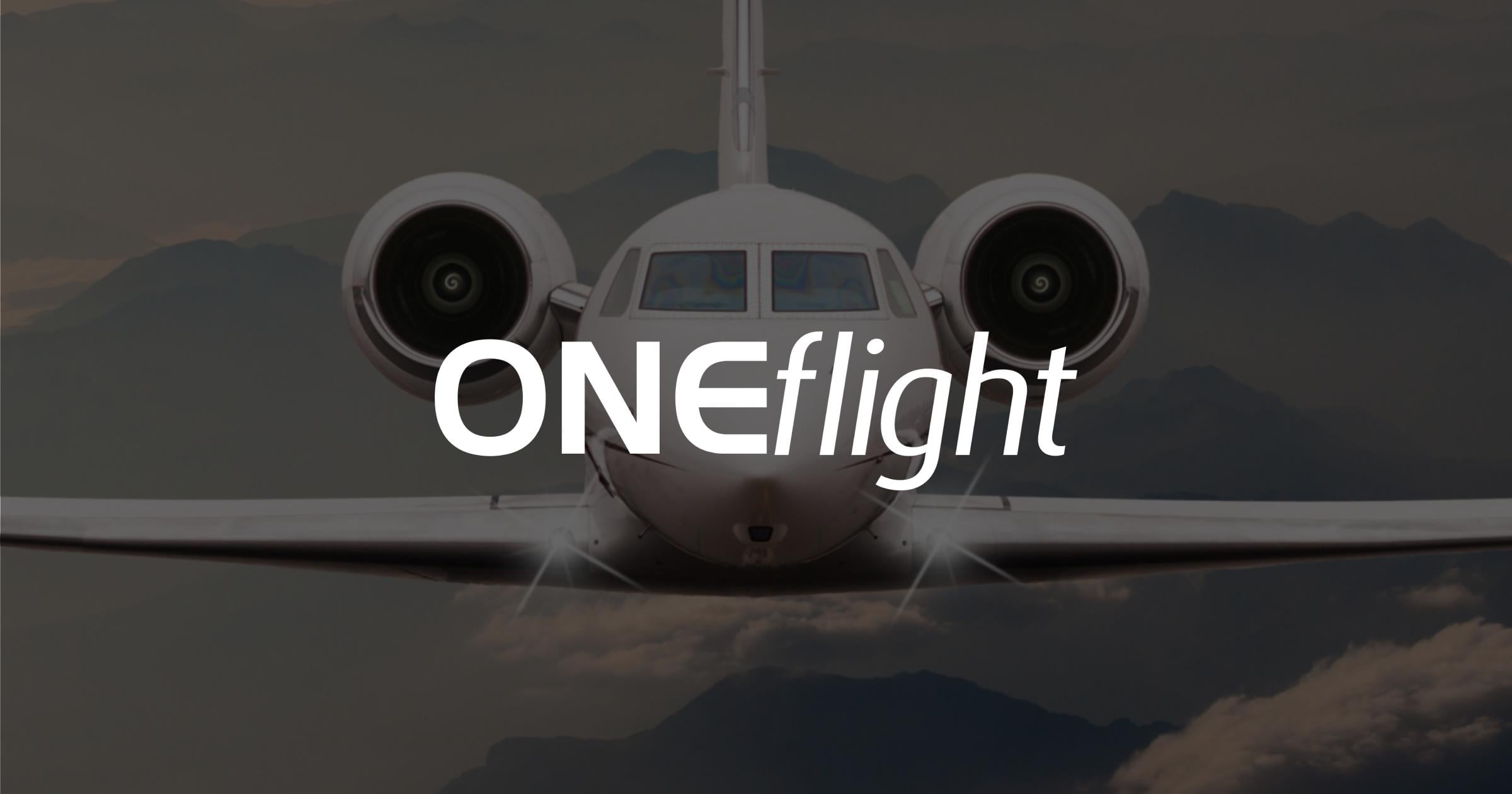 Oneflight_preview